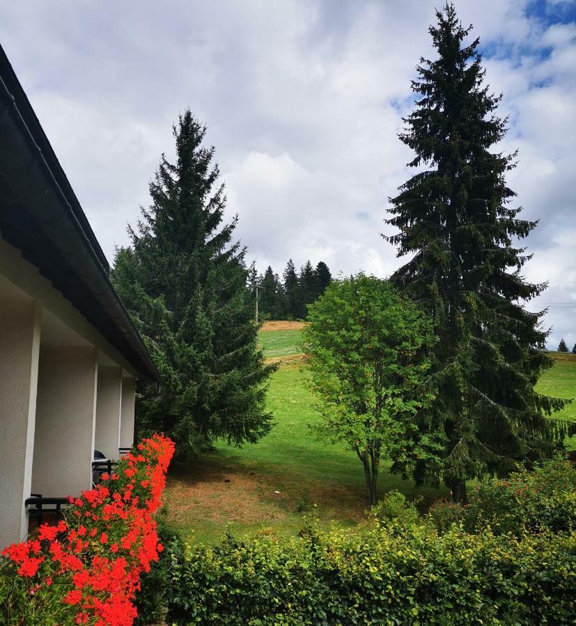 Schwarzwaldgasthof Hotel Hirschen Ibach Exteriör bild